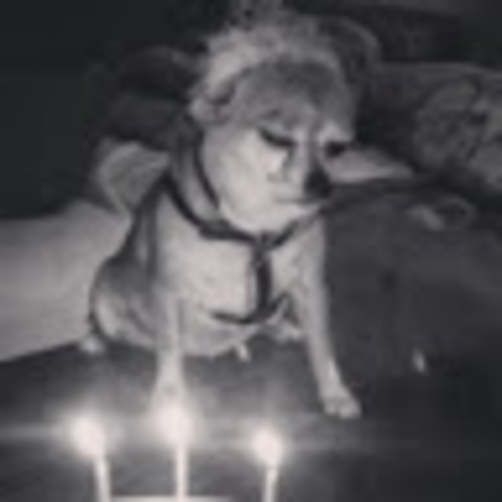 Meet your Posher, Norma